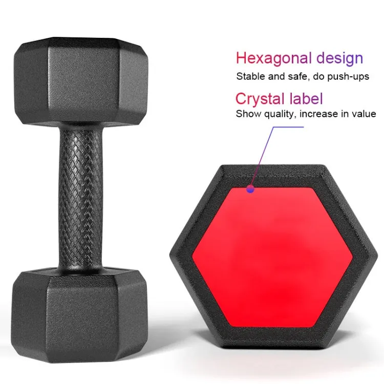 10KG Red Seal Household Glue Fitness Hexagon Dumbbells