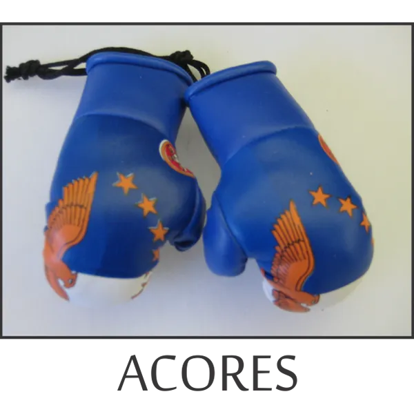 Acores Mini Boxing Glove