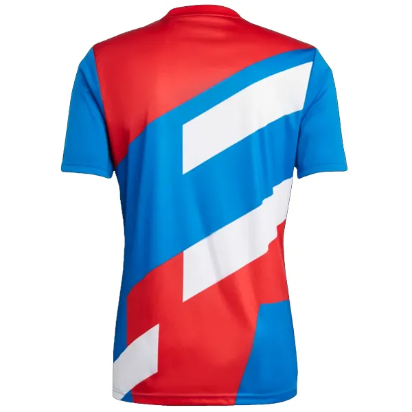 adidas Bayern Munich Prematch Jersey 22/23 (White/Bright Royal)