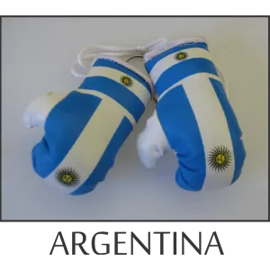 Argentina Mini Boxing Glove