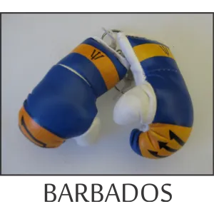 Barbados Mini Boxing Glove