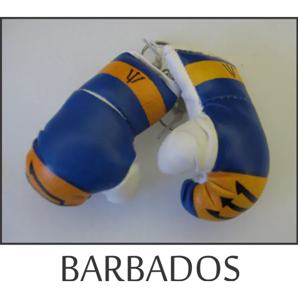 Barbados Mini Boxing Glove