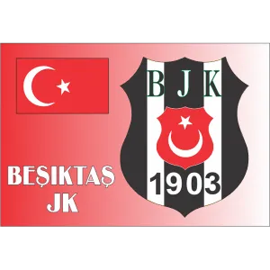 Besiktas JK Fridge Magnet