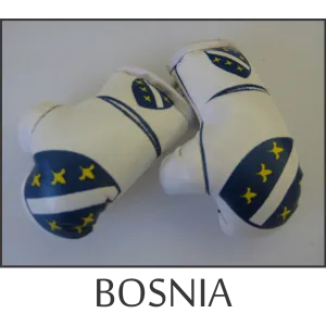 Bosnia Mini Boxing Glove