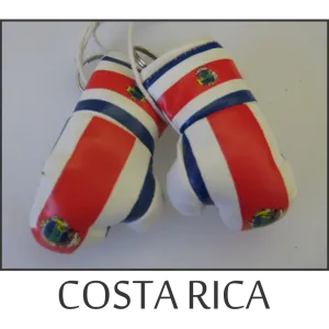 Costa Rica Mini Boxing Glove