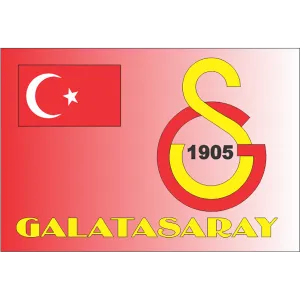 Galatasaray  Fridge Magnet