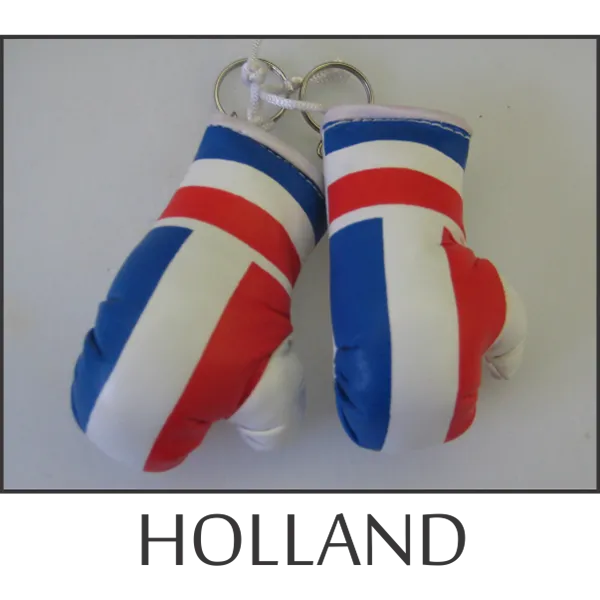 Holland Mini Boxing Glove