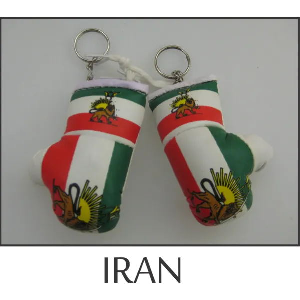 Iran Mini Boxing Glove