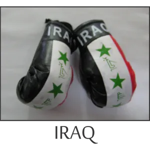 Iraq Mini Boxing Glove