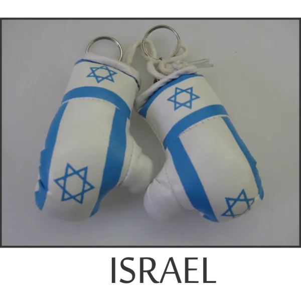 Israel Mini Boxing Glove