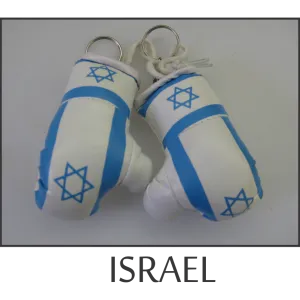 Israel Mini Boxing Glove