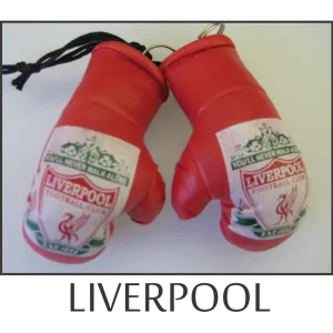 Liverpool Mini Boxing Gloves