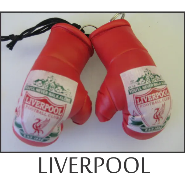 Liverpool Mini Boxing Gloves