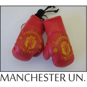 Manchester United Mini Boxing Gloves