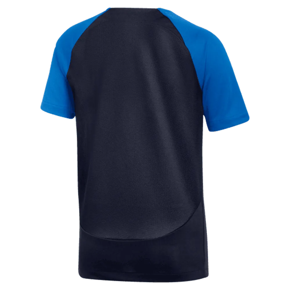 Nike Kid's Dri-Fit SS Academy Pro Top