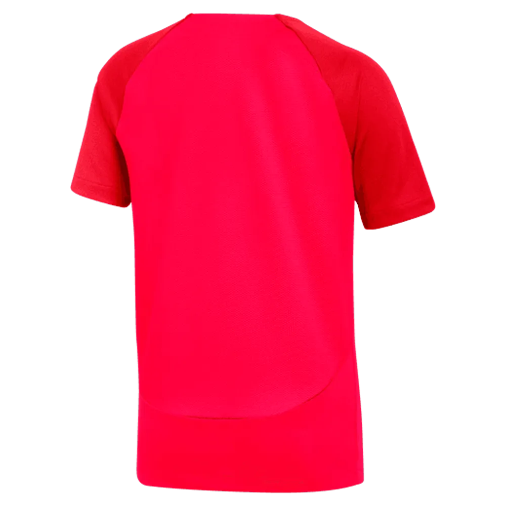 Nike Kid's Dri-Fit SS Academy Pro Top