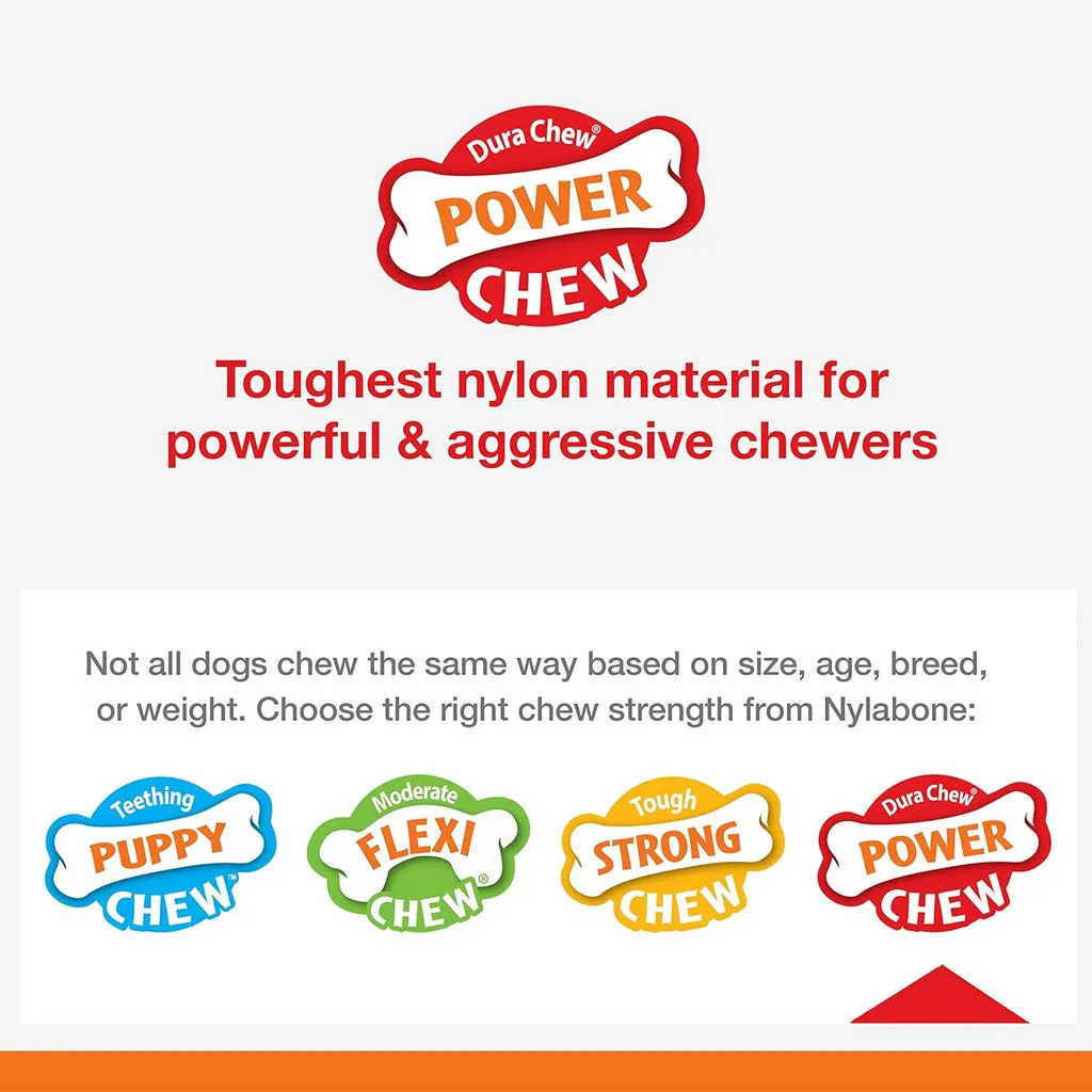 Nylabone Power Chew Basted Blast Dual Flavored Dog Chew Toys