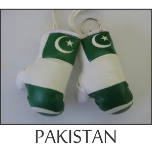 Pakistan Mini Boxing Glove