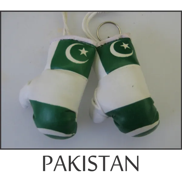 Pakistan Mini Boxing Glove