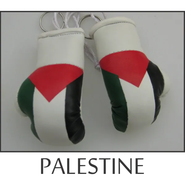 Palestine Mini Boxing Glove