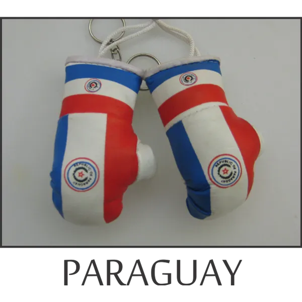 Paraguay Mini Boxing Glove