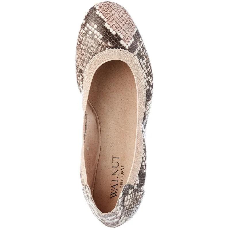 Walnut Melbourne - Ava Artisan Ballet Flat - Blush Python